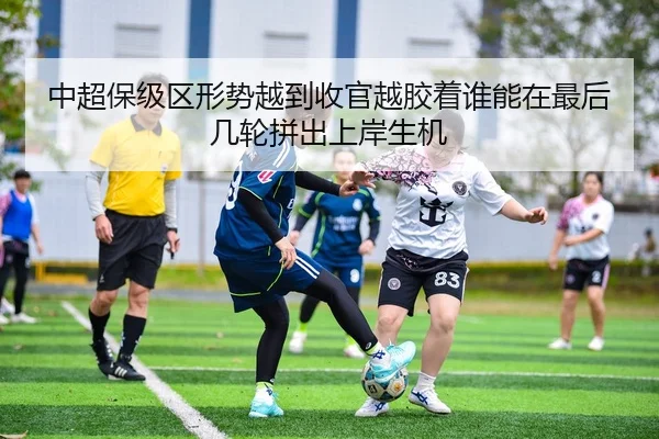 img_1780859478558_8_1_950.jpg