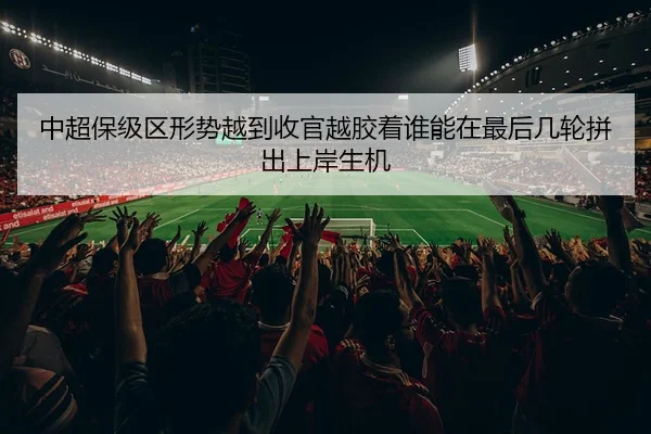 中超保级区形势越到收官越胶着谁能在最后几轮拼出上岸生机